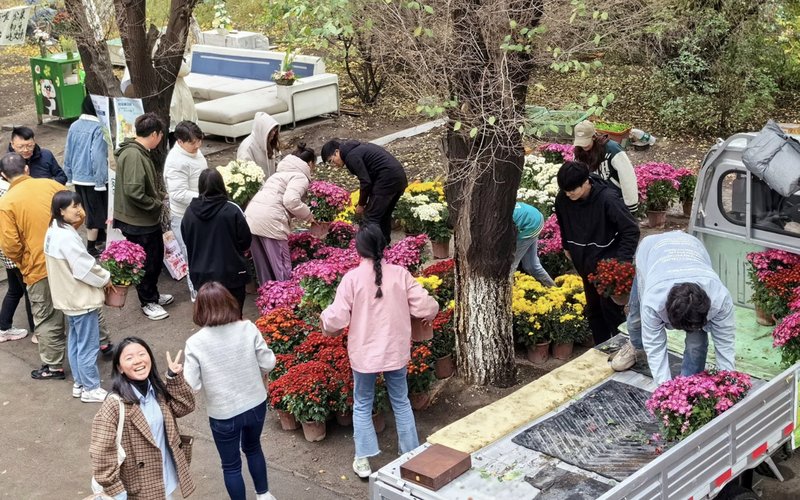 花开乌市